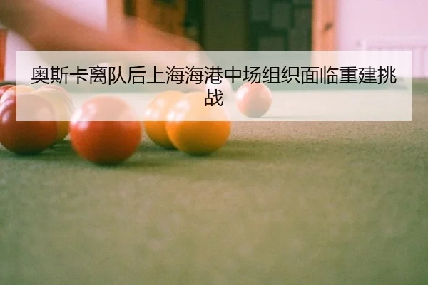 ao-si-ka-li-dui-hou-shang-hai-hai-gang-zhong-chang-zu-zhi-mian-lin-chong-jian-tiao-zhan-3-600.jpg