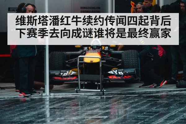 Red Bull Racing team