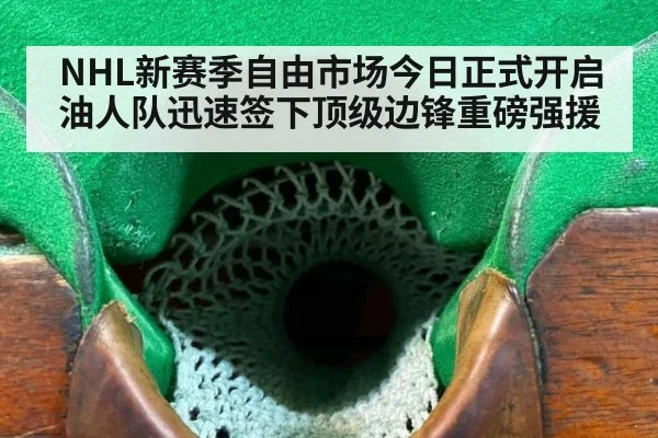 NHL新赛季自由市场今日正式开启油人队迅速签下顶级边锋重磅强援