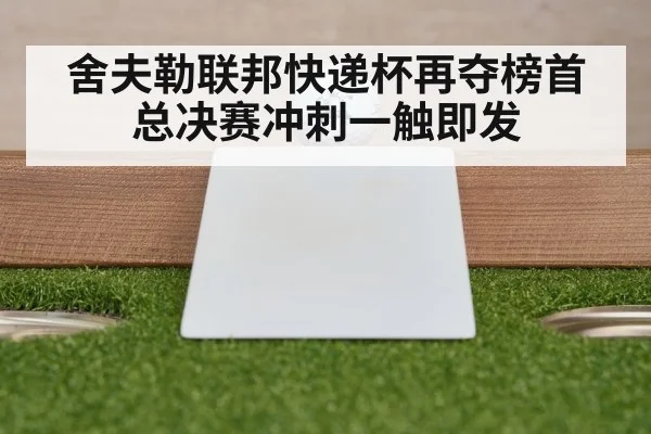 舍夫勒联邦快递杯再夺榜首总决赛冲刺一触即发