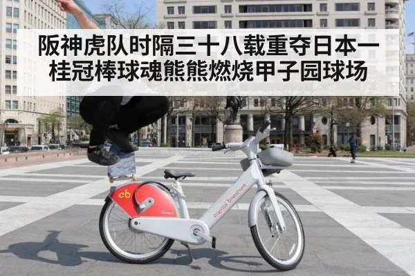 阪神虎队时隔三十八载重夺日本一桂冠棒球魂熊熊燃烧甲子园球场
