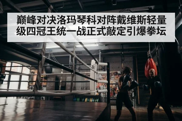 boxer training in gym