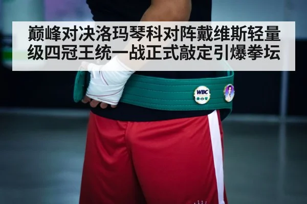 boxing championship belt